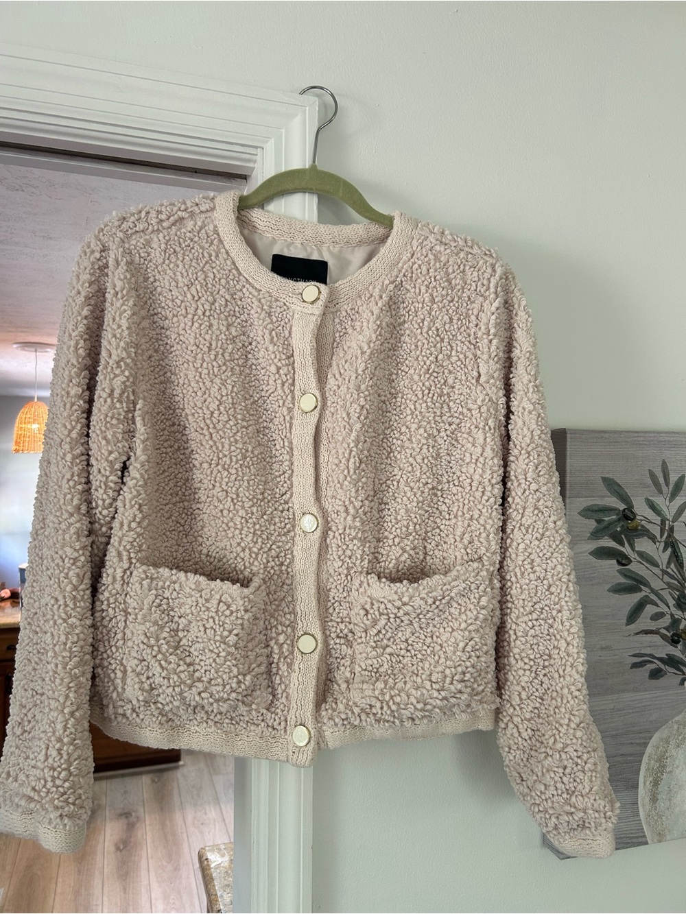 Sanctuary Light Blush Teddy Sherpa Button Jacket
